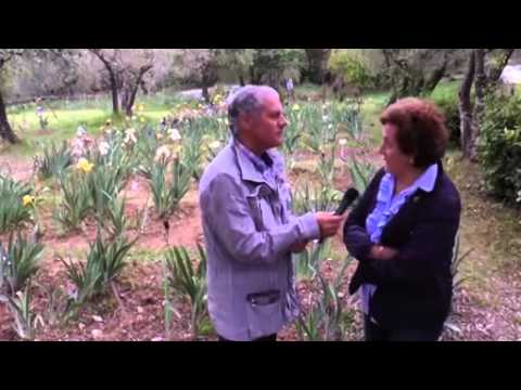 Video: Giardino Dell'iris