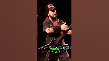 Dive Into Dimebag Darrell