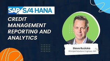 SAP S/4 HANA Credit Management Reporting & Analytics | ERP Tutorial | Workflows | Highako Academy