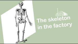 A skeleton from the Portuguese egg custard factory / A “deviant” burial?