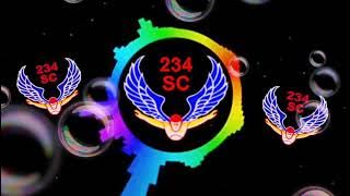 234 Solidarity Community        FREEFALL ANTHEM