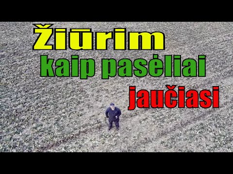 Video: Kaip jaučiasi tręšimas?