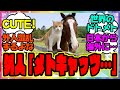 『外国人さんにドットさん＆メトさんの可愛さがバレ始めてしまう！？』に対するみんなの反応集 まとめ ウマ娘プリティーダービー レイミン 競馬の反応集 メイショウドトウ