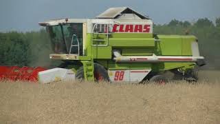 ☆Szybkie Żniwa 2018☆ CLAAS DOMINATOR 98 VX☆