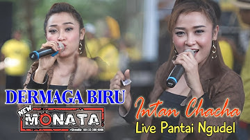 DERMAGA BIRU - INTAN CAHCHA - NEW MONATA - 44 AUDIO - JAMNAS CMIC PANTAI NGUDEL 2022