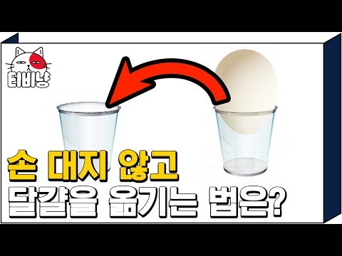 멜로가 체질
