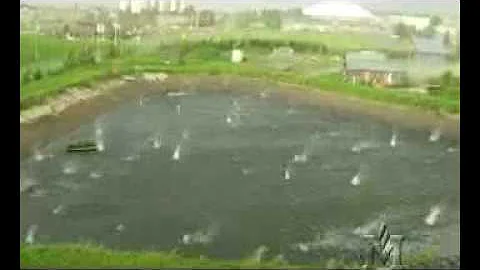 June 30, 2010 hailstorm over Bozeman, Montana