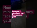 mamma mia gatti,ti prego NOOO