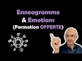 Formation ennagramme  gestion des emotions