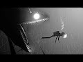 Underwater Horror Game Where You Possess Sea Monsters To Not Get Eaten - SILT