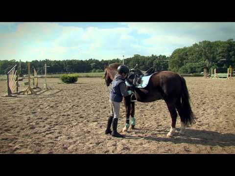 Video: Wo Kann Man Reiten