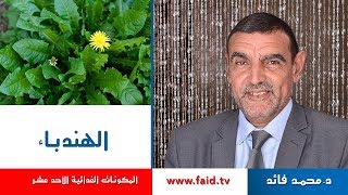 Dr faid | chicory | الهندباء | الخضر| المكونات الغذائية الأحد عشر |