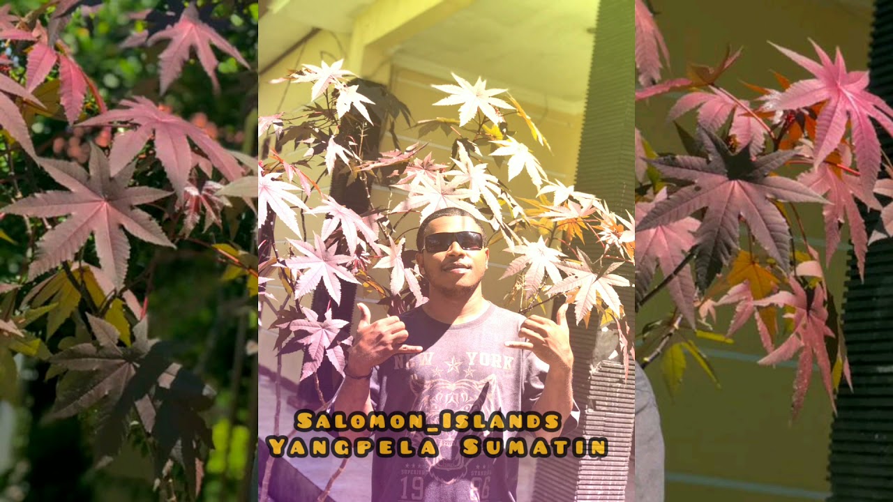 Yangpela Sumatin - Ragga Siai | Sprigga Mek |Jama Bwoy🇸🇧