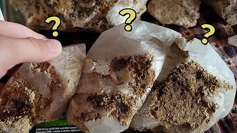 What are Herkimer Diamonds? Short Informational Video #foryou #crystals #knowledge