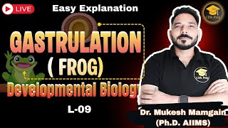 L-09 Gastrulation in Frog | Unit 5 Dev-Biology | #drmukeshmamgain