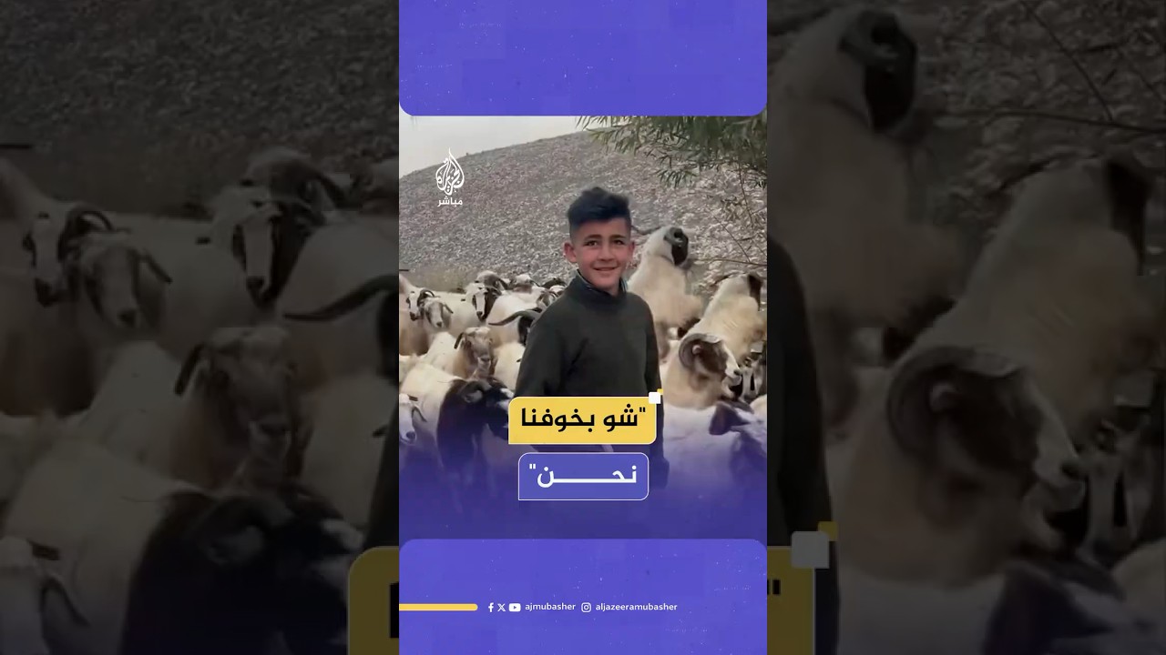 شقيقان يخرجان يوميا لرعي الأغنام في بلدة العديسة بجنوب لبنان رغم الخطر في المنطقة الحدودية
