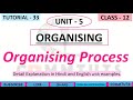 [33] Organising Process {Ch.-5} |CBSE|