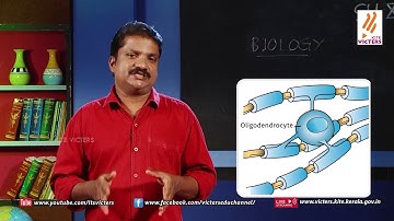 KITE VICTERS STD 10 Biology Class 03 (First Bell-ഫസ്റ്റ് ബെല്‍)