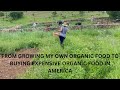 From growing my own organic food in rural south africa to buying expensive organic food in america