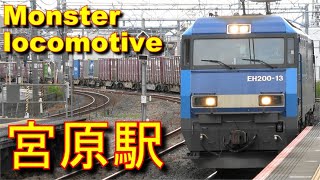 多彩な貨物列車と特急電車を高崎線宮原駅で撮影