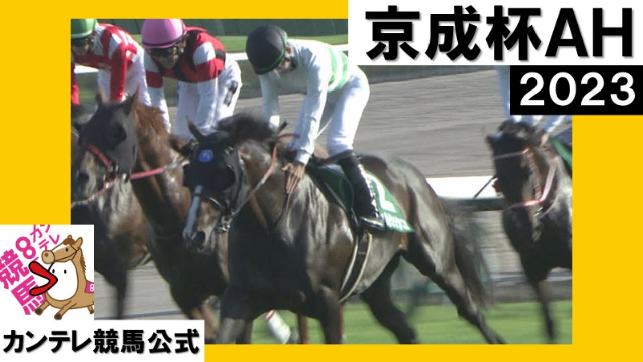 こ*ん様 JRA 競馬 2023年京成杯優勝時レプリカゼッケン ソウルラッシュ 2023年 京成杯オータムハンデキャップ (GⅢ) ソウルラッシュ【カンテレ