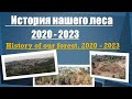 Наш лес в 2020 - 2023. Ноф аГалиль. Our Forest in 2020 - 2023. Nof HaGalil