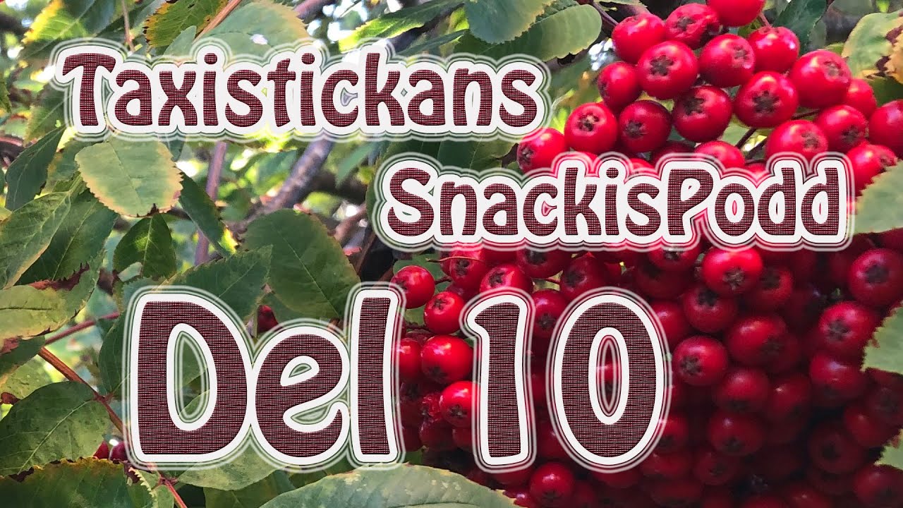 Snackis Taxistickans Snackis del 10 - Ursäktar verkligen för det tjutande ...