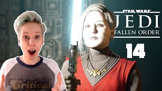 JEDI FALLEN ORDER #14 | Persistence Reveals The Path | Blind Let's Play