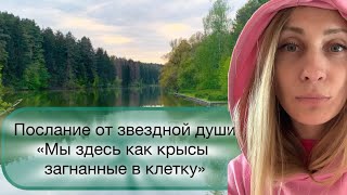 МЫ ВСЕ В КЛЕТКЕ , осознанная жизнь  #матрица #звезднаядуша