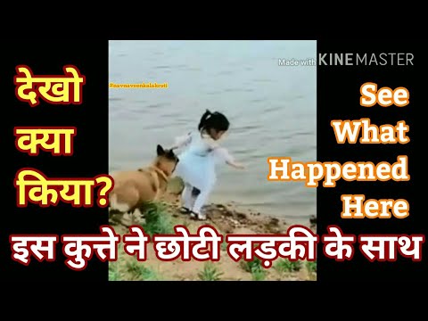 वीडियो: प्रेम कैसे रखें? व्याकरण पाठ से प्यार है