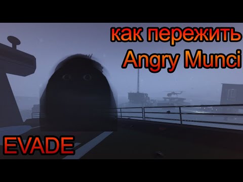 EVADE как пережить Angry Munci