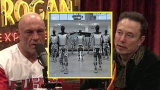 Will AI Wipe Us Out | Joe Rogan