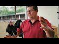 Visita al criadero La Huerta Cortez Ep.53