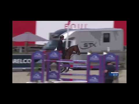 Caiam CSI4**** Opglabbeek