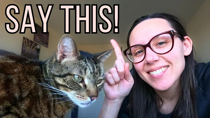 How to have a (nice) conversation with your vet about raw