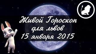 Гороскоп Лев ♌ на 15 января от Зайки Zoobe