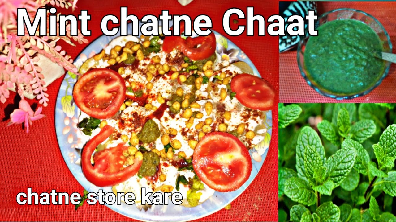 How to make Restaurant Style Mint chatne for Snacks&Chaat Refreshing ...