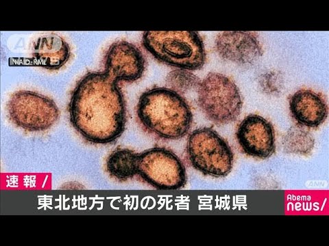 速報 宮城 県 コロナ ニュース