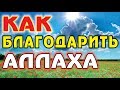 Как благодарить Аллаха. Илдус Хазрат Фаиз.