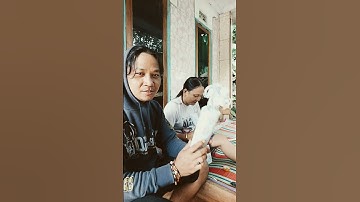 Thumbnail of #music #musica #cover #song #lyrics #lucu #ostcover #ngakak #funny #ost