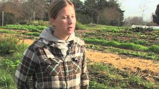 New Farmers Confront Realities of Local Food Movement