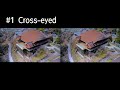 【疑似3D交差法(Pseudo 3D Cross-eyed)】｢日本 / 京都 / 京都の風景 (Japan / Kyoto / The scenery of Kyoto)｣