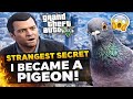 I Found GTA 5’s Strangest Secret… I Became a Pigeon 😳
