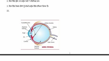 PSEB Class 10th Science Paper August 2022 / Full Solved / 10th class science Paper #pseb