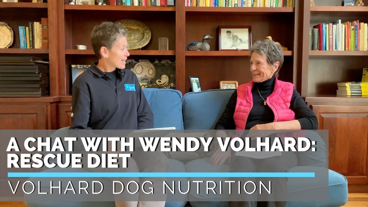 a-chat-with-wendy-volhard-rescue-diet-for-dogs-youtube