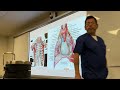 Semana 01 Imagenología del torax