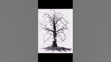 Find the hidden faces|From the optical illusion picture. #viral #shorts