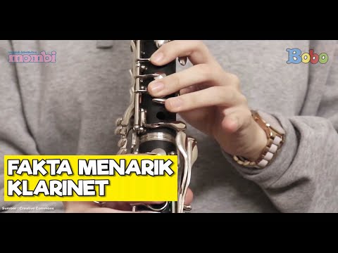 Video: Di mana klarinet dibuat?