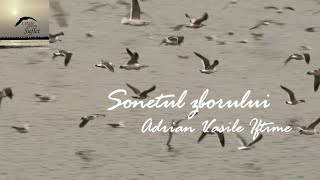 Sonetul zborului: Adrian Vasile Iftime | Poezii de dragoste | Poezii ❤️