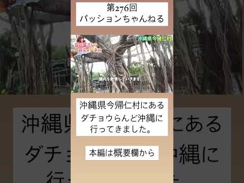 #沖縄 #今帰仁村 #ダチョウらんど #japan #観光スポット #旅行動画 #一人旅 #旅行 #travel #沖縄旅行 #沖縄観光 #okinawa #動物園 #テーマパーク #shorts